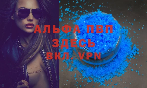 гидра Белокуриха