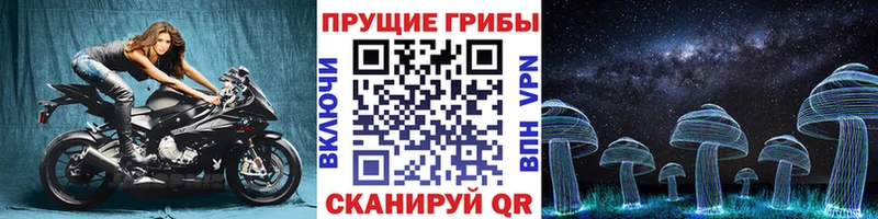 Галлюциногенные грибы Cubensis  blacksprut вход  Майкоп 