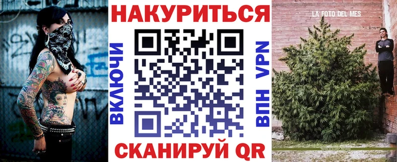 Каннабис гибрид  Майкоп 
